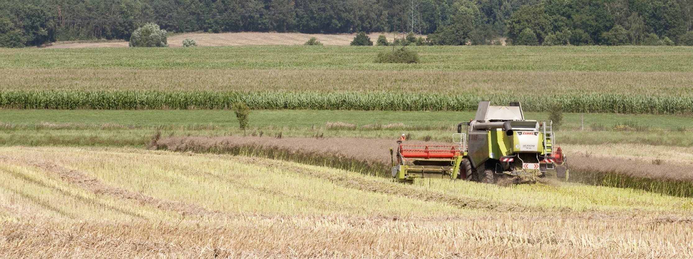 Rethink agricultural productivity